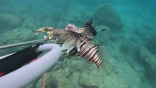 With free diving technique Lionfish huntingOne DayAegean Sea Catch and Cook FISHING Spearfishing [upl. by Paluas206]