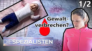 Rätsel um schreiendes Baby Wohin sind die Großeltern verschwunden  12  Die Spezialisten  SAT1 [upl. by Suollecram399]