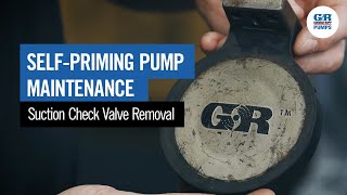 SelfPriming Pump Maintenance  Suction Check Valve Removal [upl. by Mullac]