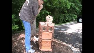 Eco Bee Box  Research Triangle Park North Carolina [upl. by Elwina]