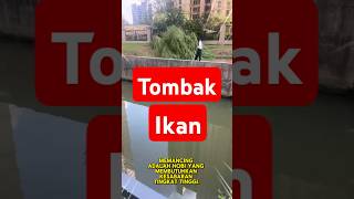 Tombak Ikan lucu faktaunik lucuhabis facts tombakikan [upl. by Aidualc]