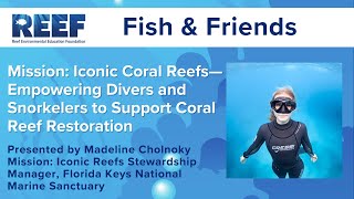 Mission Iconic Coral Reefs Empowering Divers and Snorkelers to Support Coral Reef Restoration [upl. by Annaira324]