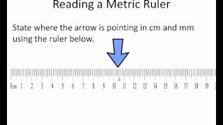 Reading a Metric Rulerwmv [upl. by Agnola]