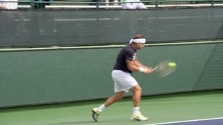 David Ferrer Forehand and Backhand 3  Indian Wells 2013  BNP Paribas Open [upl. by Aleinad]