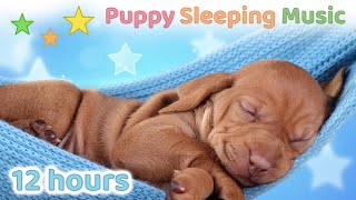 ☆ 12 HOURS ☆ Puppy Sleeping Music 🐶 ♫ SLEEP MUSIC for Dogs ☆ Dog Sleep Music ☆ Dog Music [upl. by Jeconiah]