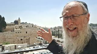 Rabbi Ephraim Kirshenbaum Head Bet Shemesh Rabbi by the Kotel about Bet Hamikdash [upl. by Cybill693]