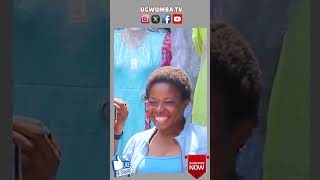 OGE EGWUREGWU shorts comedy laugh [upl. by Ahtimat]