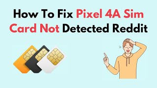 How to Fix Pixel 4A Sim Card Not Detected Reddit [upl. by Lea]