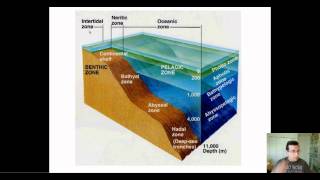 The 5 Ocean Layers [upl. by Drake]