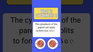 What is cytokinesis cell division mitosis and meiosis shortsfeed biology science shorts [upl. by Reinnej832]