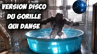 UN GORILLE QUI S’ÉCLATE ET QUI DANSE DANS UNE PISCINE DU ZOO DE DALLAS [upl. by Nivre]