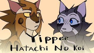 Hatachi no koi x yippee  Warriors OC [upl. by Arratahs]