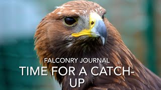 Falconry journal 2324 season general chat of where it’s at [upl. by Severson410]