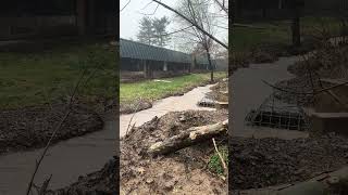 Flooding at Lambertville Public School March 23 2024 [upl. by Ayor]