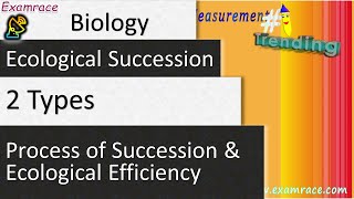 2 Types of Ecological Succession Process of Succession amp Ecological Efficiency [upl. by Hajidahk]