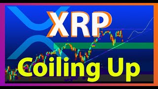 XRP Loaded for another HUGE Payments Channel 100000 Bitrue Giveaway Altcoins are on Bull Run [upl. by Eima]