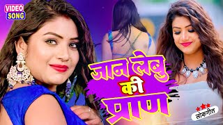 2024 का ब्लास्ट भोजपुरी सुपर हिट गाना  Top 8 Bhojpuri song 2024  a Super Hit bhojpuri video [upl. by Maidie]