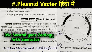 Plasmid Vectors  pBR322 Plasmid Vector  pUC8 Plasmid Vector BSc 2nd year Botany 4rth semester [upl. by Idnic]