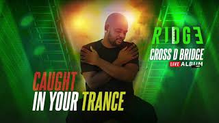 5 Caught in your trance Cross D Bridge Live Album [upl. by Eerahs]