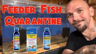 How I Use APIFishcare Products For Quarantine [upl. by Kassandra]