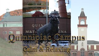 Montage Of Quinnipiac Campus on a Calm Relaxing Day [upl. by Dilly94]