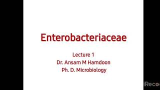 Lec1  part 1 Enterobacteriaceae DrAnsam and DrWaleed  Microbiology [upl. by Amak985]