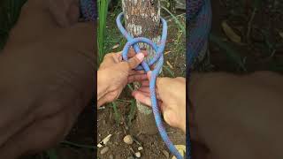 Quickest Way To Tie Bowline Knots rope knot knottying [upl. by Verge]