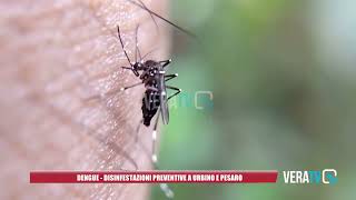 Dengue a Fano e Pesaro altre disinfestazioni preventive [upl. by Bohon]