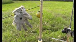 aerial archery  throwing gadget  in flight archery  moving target [upl. by Iaoh911]