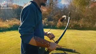 130 gemsbok horn warbow bow bowhunting warbow archery archer [upl. by Calisa]