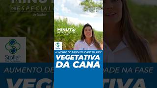 Aumente a produtividade da CANA na fase vegetativa canadeacucar agricultura stoller [upl. by Gnok]