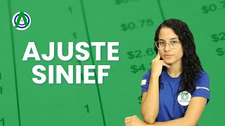 Corrija suas notas fiscais com AJUSTE SINIEF 1324 l acerttaoficial [upl. by Goodrich]