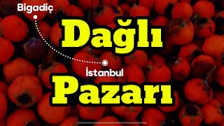 Dağlı Pazarında ALIÇ SİRKESİ tarifi [upl. by Mariana709]