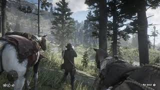 Red Dead Redemption 2 Ambient Gameplay Hunting Elk with Arthur Around Cattail Pond [upl. by Otreblide]