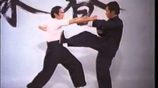 Wing Chun  The Science of InFighting Wong Shun Leung LEGENDADO [upl. by Michella]