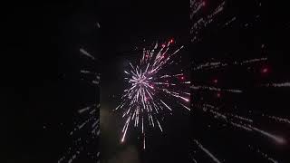 6quot Black Panther shells fireworks pyro 4thofjuly salute fireworksdisplay [upl. by Sheffy205]