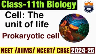 Cell The unit of life  Prokaryotic cell  class 11th Biology chapter 8 Prokaryotic cell structure [upl. by Springer]