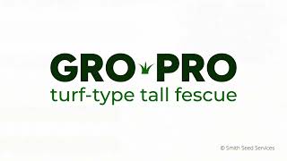 GroPro TurfType Tall Fescue [upl. by Ellenad]