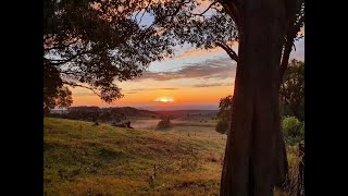 STUNNING COUNTRYSIDE PLUS VIEWS OF THE COAST amp MORETON BAYNARELLE CORDARO  ALL AROUND REALTY [upl. by Neelik]