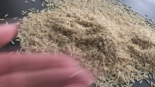 It’s smaller than a grain a rice and it’s helping reverse vision loss for diabetics [upl. by Ettenotna]