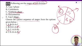 Following are the stages of cell division A Gap 2 phaseB CytokinesisC Synthesis phaseD Karyokin [upl. by Gathard]