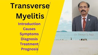 Transverse Myelitis [upl. by Janith]