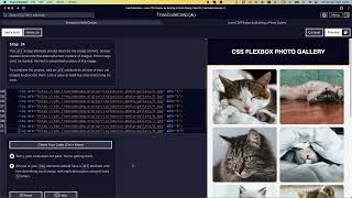 Learn CSS Flexbox by Building a Photo Gallery  Step 24 freecodecamp css learncss flexbox html5 [upl. by Terrijo]