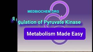 Glycolysis Regulation of Pyruvate Kinase Metabolism Made Easy [upl. by Aisetal]