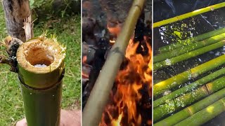 8 Different Ways To Treat Bamboo [upl. by Nine684]