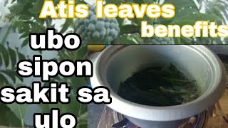 Atis leaves tea steam inhalation for cough runny nose [upl. by Blakeley927]