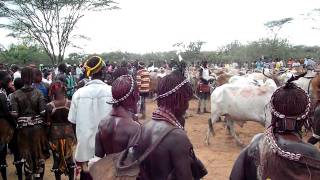 Bull Jumping Ceremony Hamer Ethiopia [upl. by Eniawtna36]