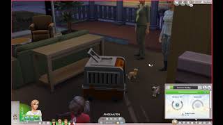 Sims 4  KindHaustier Adoptieren Tutorial [upl. by Lehrer619]