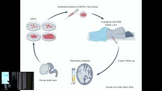 Myelin Repair and Neuroprotein – Gianvito Martino [upl. by Eserahc]