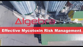 Algebra Bio  Mycotoxin Binders [upl. by Andersen]